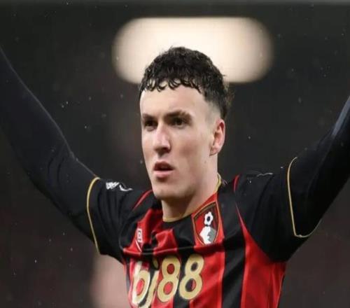 纽卡揭秘,探究为何未,揭露托纳利,开云体育,开云体育官网,开云体育app,开云体育app下载